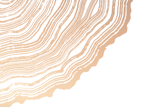 Tree Rings Graphic